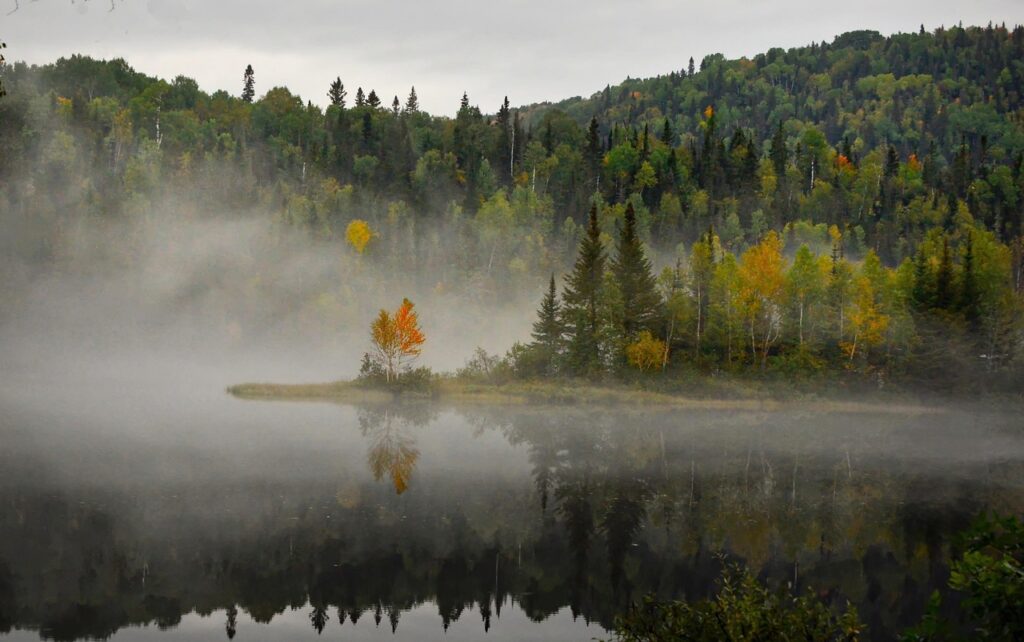 landscape, nature, fog, trees, colors, fall, lake, the water, mountain, mood, atmospheric, environment, morning, natural, reflections, quebec, canada, fall, fall, lake, lake, environment, environment, morning, canada, canada, canada, canada, canada